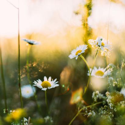 ITPI Newsletter Articles - Spring 2024 ITPI Newsletter Articles - Spring 2024