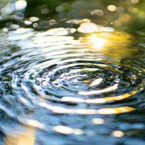 Timing and Transition from a Body’s Perspective